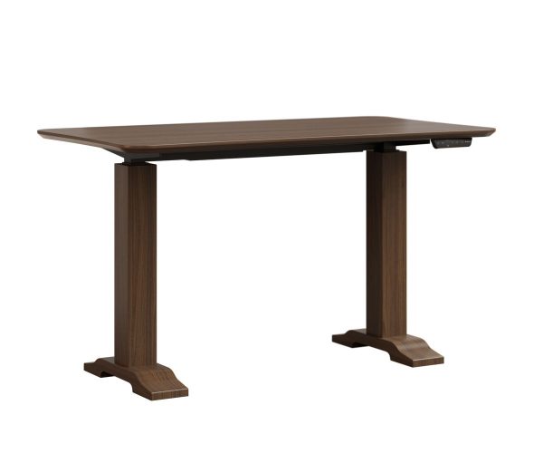 Dawsyn Sit-stand Desk with Wood Base