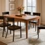 BF Delta Dining Collection-Full.jpg
